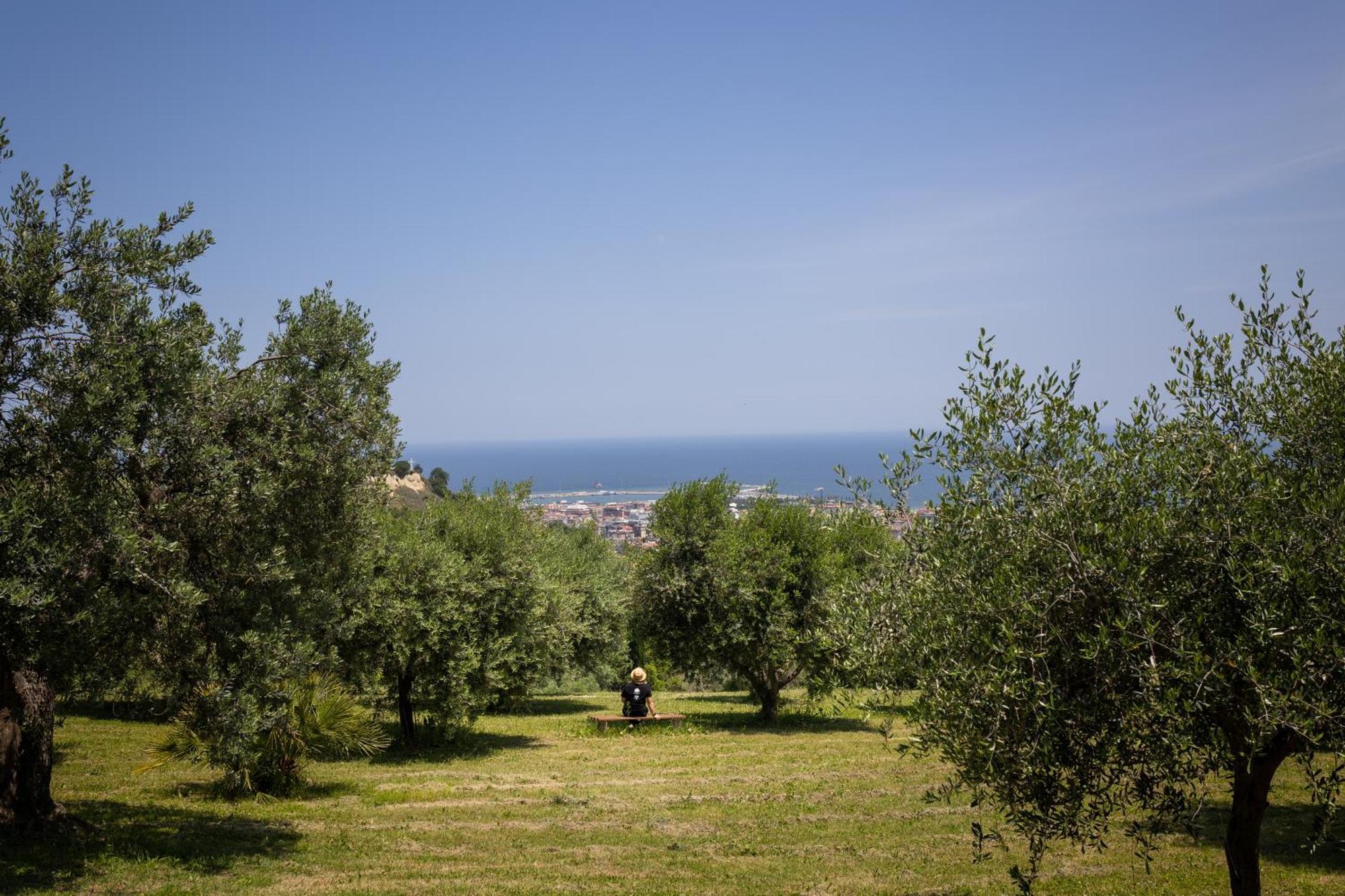 Villa Cri Cri B&B Di Charme San Benedetto del Tronto Exterior foto
